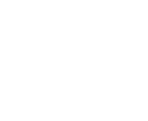 Logo Palacio Villapanes blanco